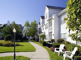 1 Bd/1 Bath 1bed/1bath in Melville, Pets in Huntington Station, NY