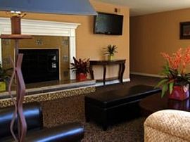 2 Bd/2 Bath 1bed/1bath, Pets Ok, Renovat in San Francisco, CA (Photo 3 of 5)