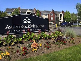 2 Bd/1 Bath 1bed/1bath in Bothell, Pets in Bothell, WA (Photo 2 of 5)