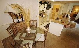 2 Bd/1 Bath Holiday Move-In Special! Mov in Brandon, FL (Photo 3 of 5)