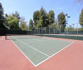 Mins to Beaches, Nightlife, Shopping and D in Virginia Beach, VA (Photo 4 of 5)