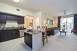 2 Bd/2 Bath Alexan Solmar - New Rentals in Fort Lauderdale, FL (Photo 5 of 5)