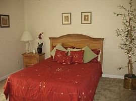 2 Bd/1 Bath Great Location with Easy Acces in Tampa, FL (Photo 3 of 4)