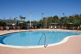 2 Bd/2 Bath Fresh and New! Come Check Ou in Tallahassee, FL (Photo 3 of 5)