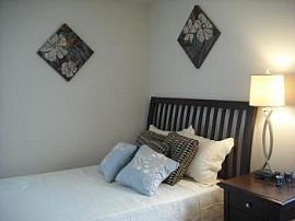 Love Where You Live! Gorgeous 2bd 2ba! in Carrboro, NC (Photo 2 of 5)