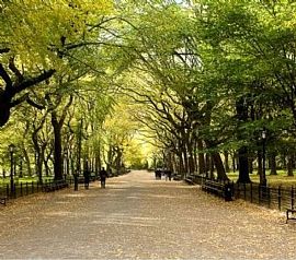 2 Bd/2 Bath One Bed One Bad in Pflugerville, TX (Photo 4 of 4)