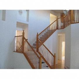 828 Deer Clover Way in Castle Rock, CO (Photo 3 of 5)