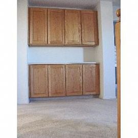 828 Deer Clover Way in Castle Rock, CO (Photo 5 of 5)