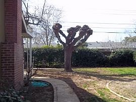 Carmichael Classic..3/2 Great Location in Carmichael, CA (Photo 3 of 5)