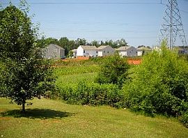 3 Br Ranch W/split Plan in Oakdale Area in Charlotte, NC (Photo 4 of 4)