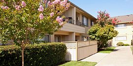 2 Bd/2 Bath Two Bed with Excellent Acces in Mountain View, CA (Photo 4 of 5)