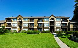 1 Bd/1 Bath Jacksonville Apts with Fully U in Jacksonville, FL (Photo 2 of 5)