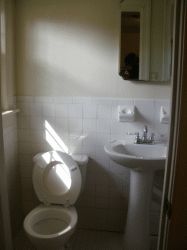 Spacious Ranch with 4br 2.5bath in Chesapeake, VA (Photo 5 of 6)