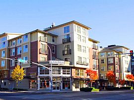 1 Bd/1 Bath 1bed/1bath in Bellevue,Pets in Beaux Arts, WA