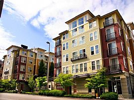 1 Bd/1 Bath 1bed/1bath in Bellevue,Pets in Beaux Arts, WA (Photo 3 of 5)