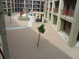 2 Bd/2 Bath Sonoma Palms Apartments a 55 in Phoenix, AZ (Photo 4 of 5)