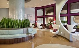 2 Bd/2 Bath Brand New Apts in Heart of D in Orlando, FL (Photo 5 of 5)