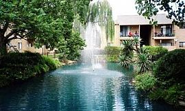 Sealy Apartments Close to Highways, Grea in Frydek, TX (Photo 5 of 5)