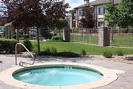 1 Bd/1 Bath Let Us Lead You to Your Pot in Denver, CO (Photo 5 of 5)