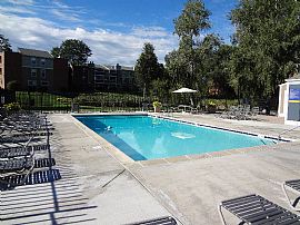 2 Bd/1 Bath Pet Friendly, Spacious Layou in Denver, CO (Photo 2 of 5)