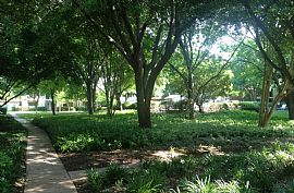 2 Bd/2 Bath Includes Electric! 10% Off U in Dallas, TX (Photo 4 of 5)