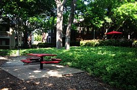 2 Bd/2 Bath Includes Electric! 10% Off U in Dallas, TX (Photo 5 of 5)