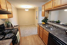 2 Bd/2 Bath Ask About Our Vacant Specia in Brandon, FL (Photo 2 of 5)