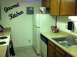 3 Bd/2 Bath Spacious Walk in Closets! in Denver, CO (Photo 4 of 5)