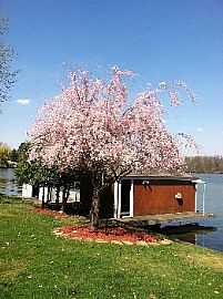 Lakefront Home Panoramic Views/portage L in Akron, OH (Photo 3 of 5)