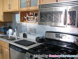 Fully Furnished Penthouse American Trio in Minneapolis, MN (Photo 3 of 5)