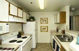 1 Bd/1 Bath Pet Friendly, Spacious Layou in Arvada, CO (Photo 2 of 5)