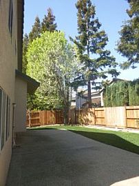 A Cut Above The Rest in Elk Grove, CA (Photo 2 of 5)