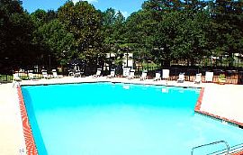 2x1 Start at $570 Includes Water and Trash in Norcross, GA (Photo 2 of 5)