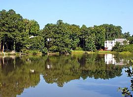 2x1 Start at $570 Includes Water and Trash in Norcross, GA (Photo 3 of 5)