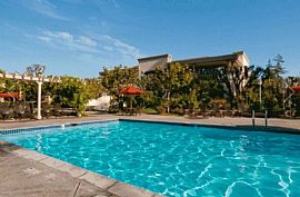 2 Bd/2 Bath Great Location in The Heart in Mountain View, CA (Photo 4 of 5)