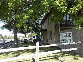 Must See!! 1 Bedroom 1 Bath!  Stapleton! in Aurora, CO (Photo 2 of 2)