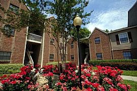 2 Bd/2 Bath Great Lake Views in Jacksonville, FL (Photo 3 of 5)