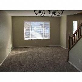 7305 Pine Hills Way in Littleton, CO (Photo 4 of 5)