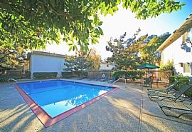 2 Bd/1 Bath Large 1 Bedroom in Heart Of in Sunnyvale, CA (Photo 4 of 5)