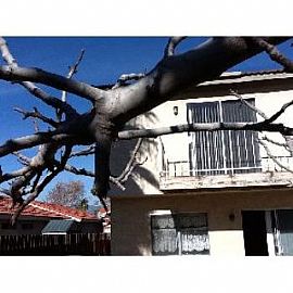 3-Bedroom House in Colton For Lease in Colton, CA