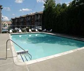 On Site Laundry, Huge Windows, Pool, Pla in Lowell, MA (Photo 5 of 5)