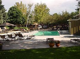 Ponderosa Ridge Remodeled Condo For Rent in Denver, CO (Photo 5 of 5)