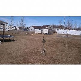 Country Living 2600 Sqft 7bed 3.5 Bath H in Beachs Corner, ID (Photo 2 of 5)