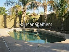 Single Family Rental Home in Chandler in Chandler, AZ (Photo 5 of 5)