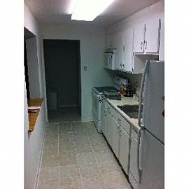 3bd 2ba Condo in Towson with Views in Baltimore, MD (Photo 4 of 5)