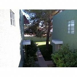 New Flooring and Carpet in Phoenix, AZ (Photo 4 of 5)