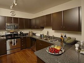 Brand New Apartments with Chef Inspired in Queen Anne, WA (Photo 4 of 5)