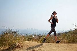 Tasteful Two Bed Two Bath on The Outskir in Hollywood, CA (Photo 4 of 4)