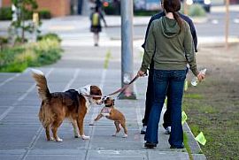 Urban Living in This Seattle Sanctuary! in Seattle, WA (Photo 2 of 5)