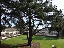2 Bd/1 Bath Foster City 1 Bed with Waterfr in Foster City, CA